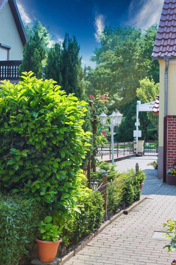 Pension Luisenhof Tangermünde المظهر الخارجي الصورة